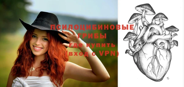индика Аркадак
