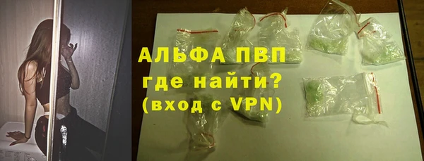 индика Аркадак