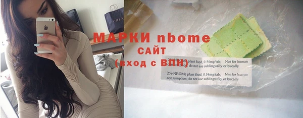 индика Аркадак