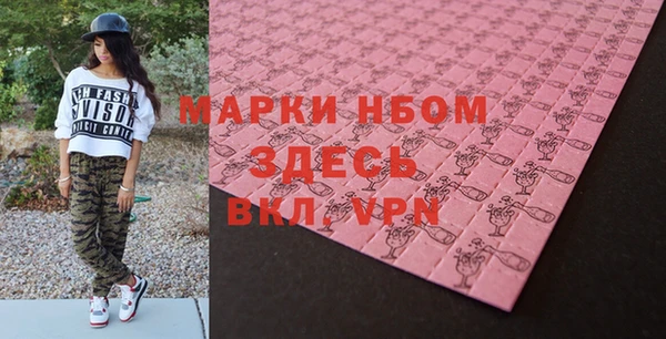 индика Аркадак