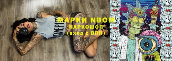 индика Аркадак
