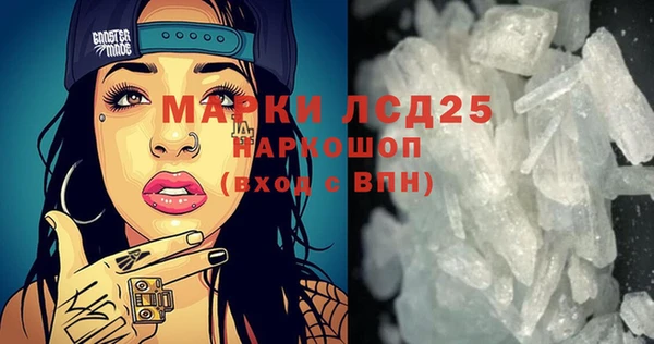 индика Аркадак
