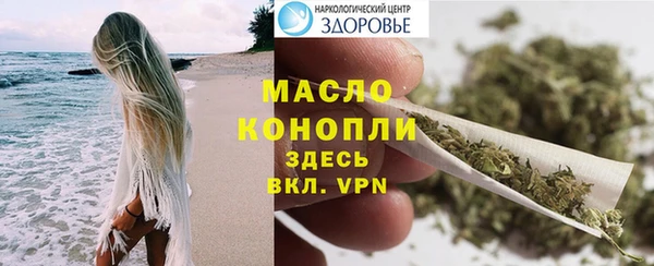 индика Аркадак