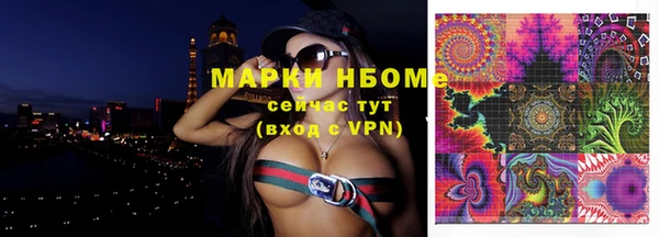 индика Аркадак