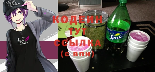 индика Аркадак