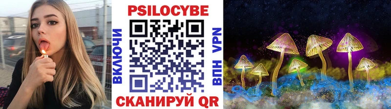 Галлюциногенные грибы мицелий  купить закладку  Райчихинск 